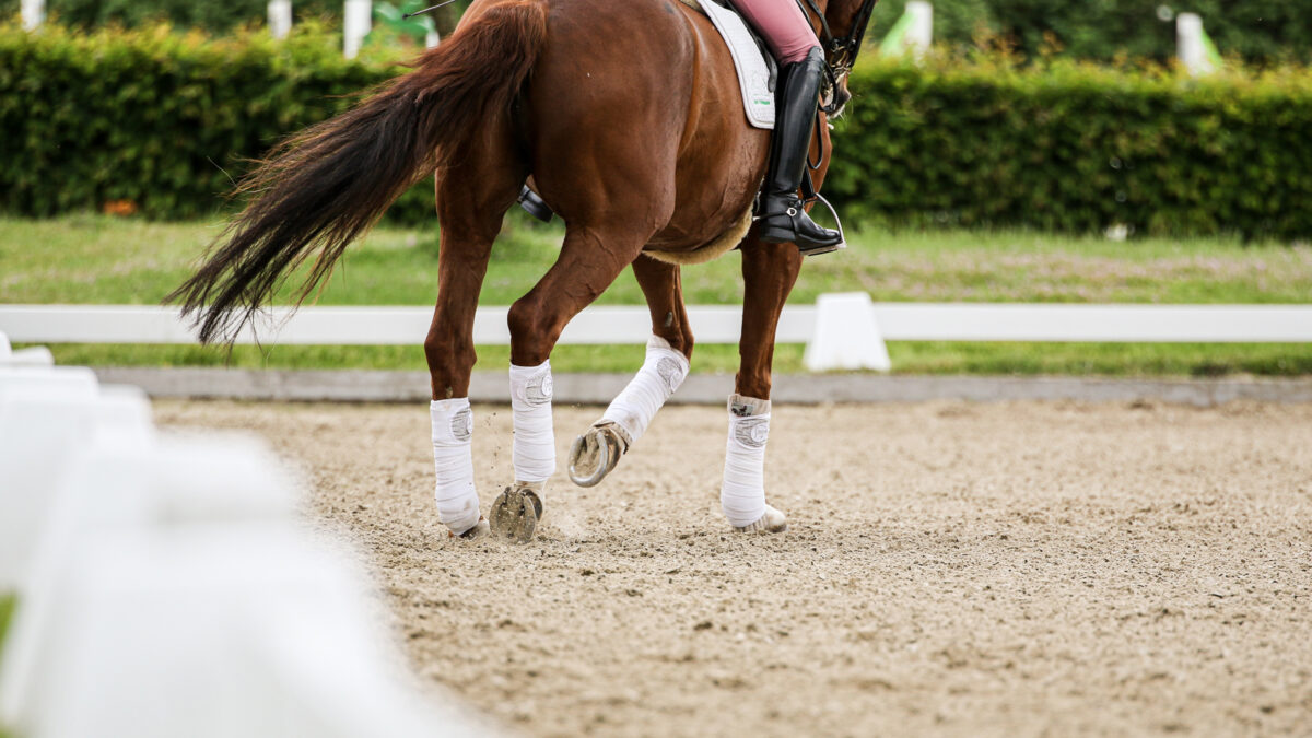 Stresan - Premium equestrian sand