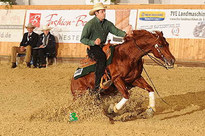 deutsche quarter horse03 1
